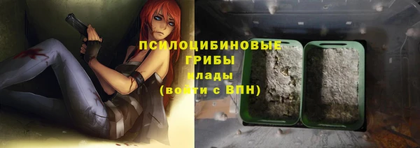 трава Киренск