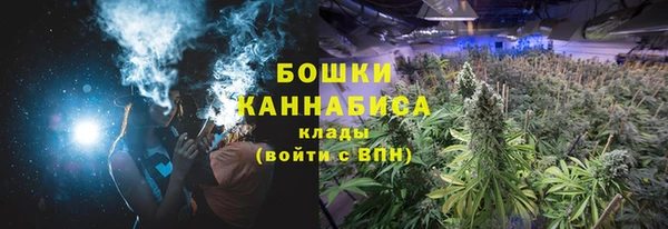 трава Киренск