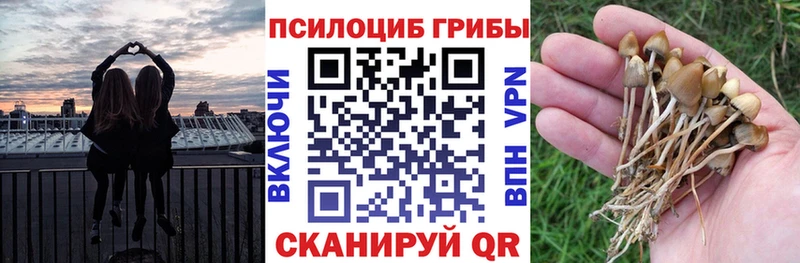 Купить Гусь-Хрустальный Псилоцибиновые грибы MAGIC MUSHROOMS